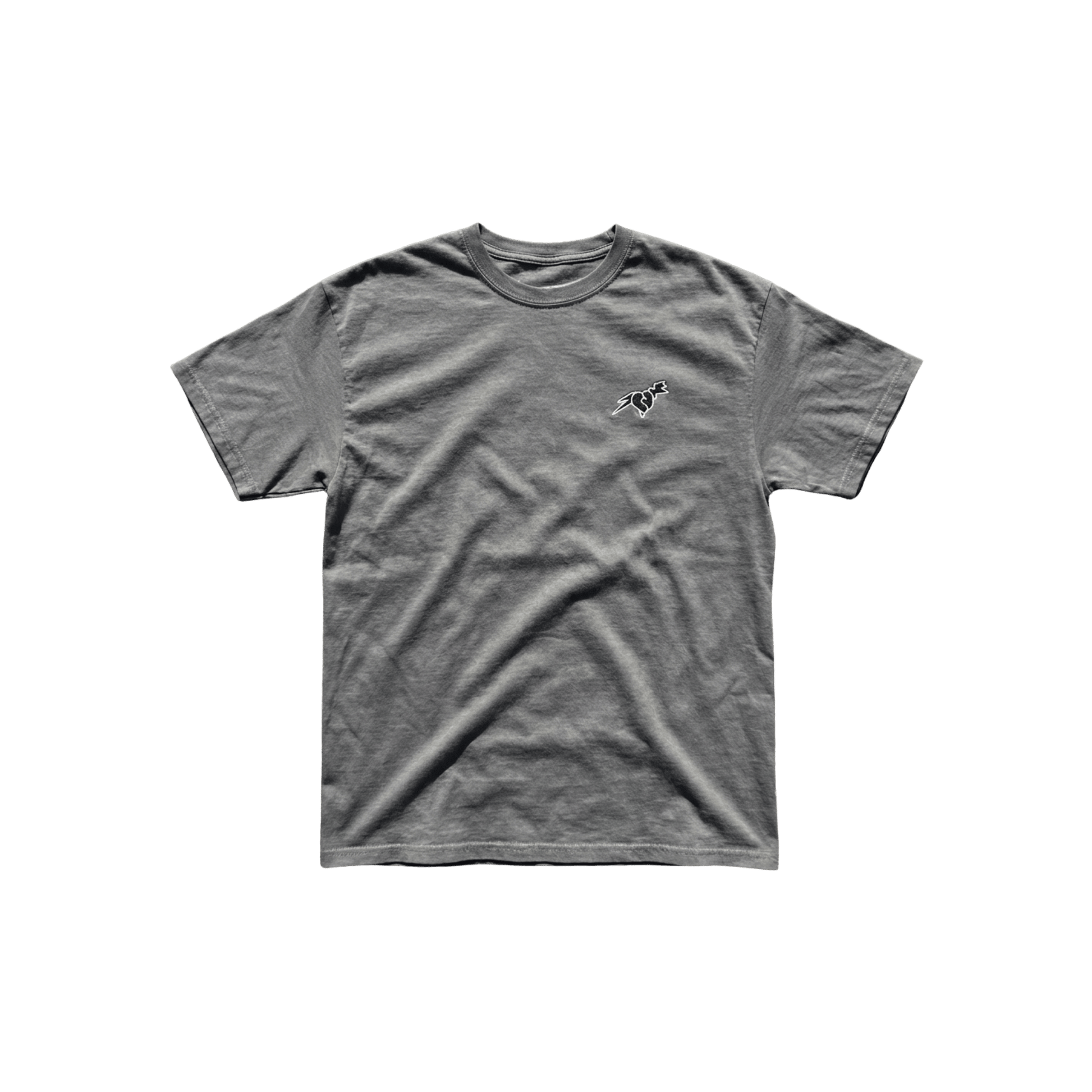 Basics Gray T-Shirt PEBVER.